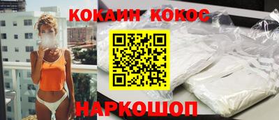 шишки Новодвинск