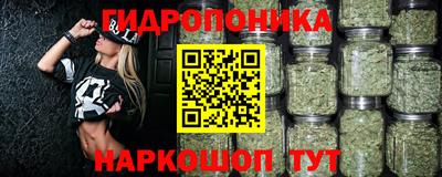 дмт Обь