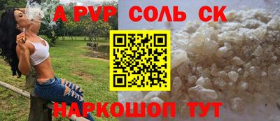 шишки Новодвинск