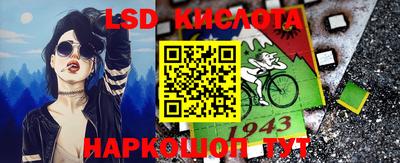 шишки Новодвинск