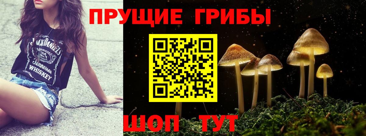 Галлюциногенные грибы Psilocybe  Вход с VPN  Россошь 